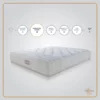 2-Club-Class-Grande-600x600_80db57cf-f3e7-4c69-8b86-f7c732252066_360x Club Class Grande Mattress