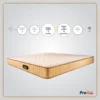ProActiv Back Mattress