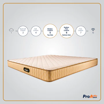 ProActiv Back Mattress