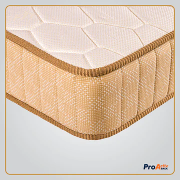 ProActiv Back Mattress