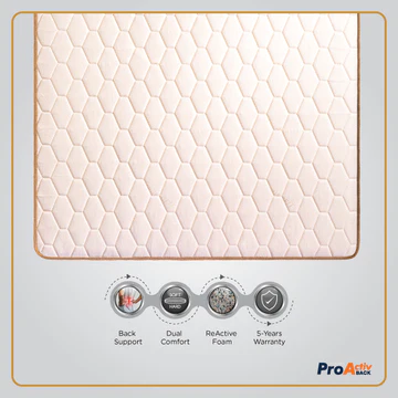 ProActiv Back Mattress
