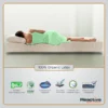 Reactive Dual Latex Mattress