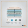 ProActiv Back Mattress