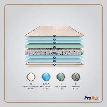 ProActiv Back Mattress