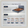 Autograph Prive Mattress