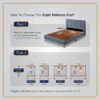 Club Class Platinum Mattress