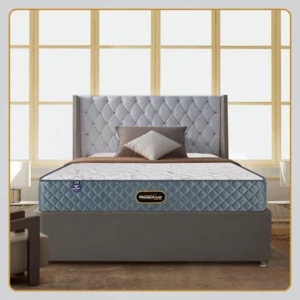 Reactive Dual Mattress