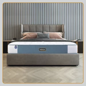 Reactive Dual Memory Mattress